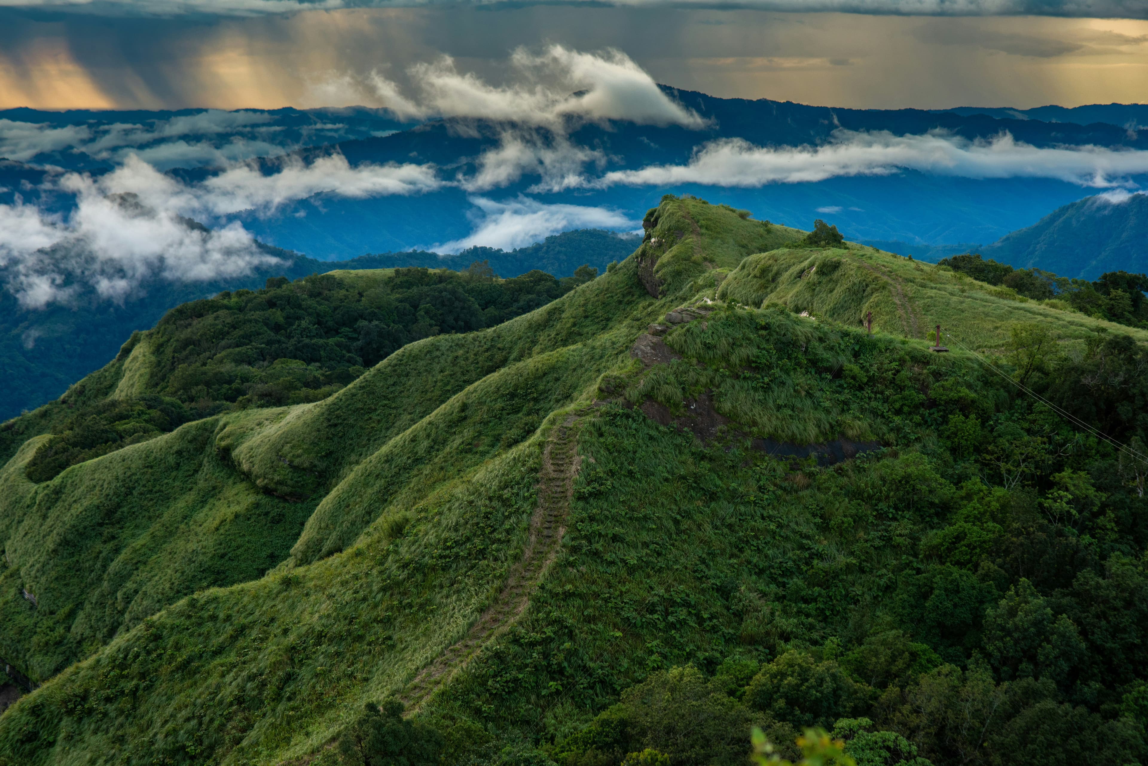 Quand partir en Inde ?